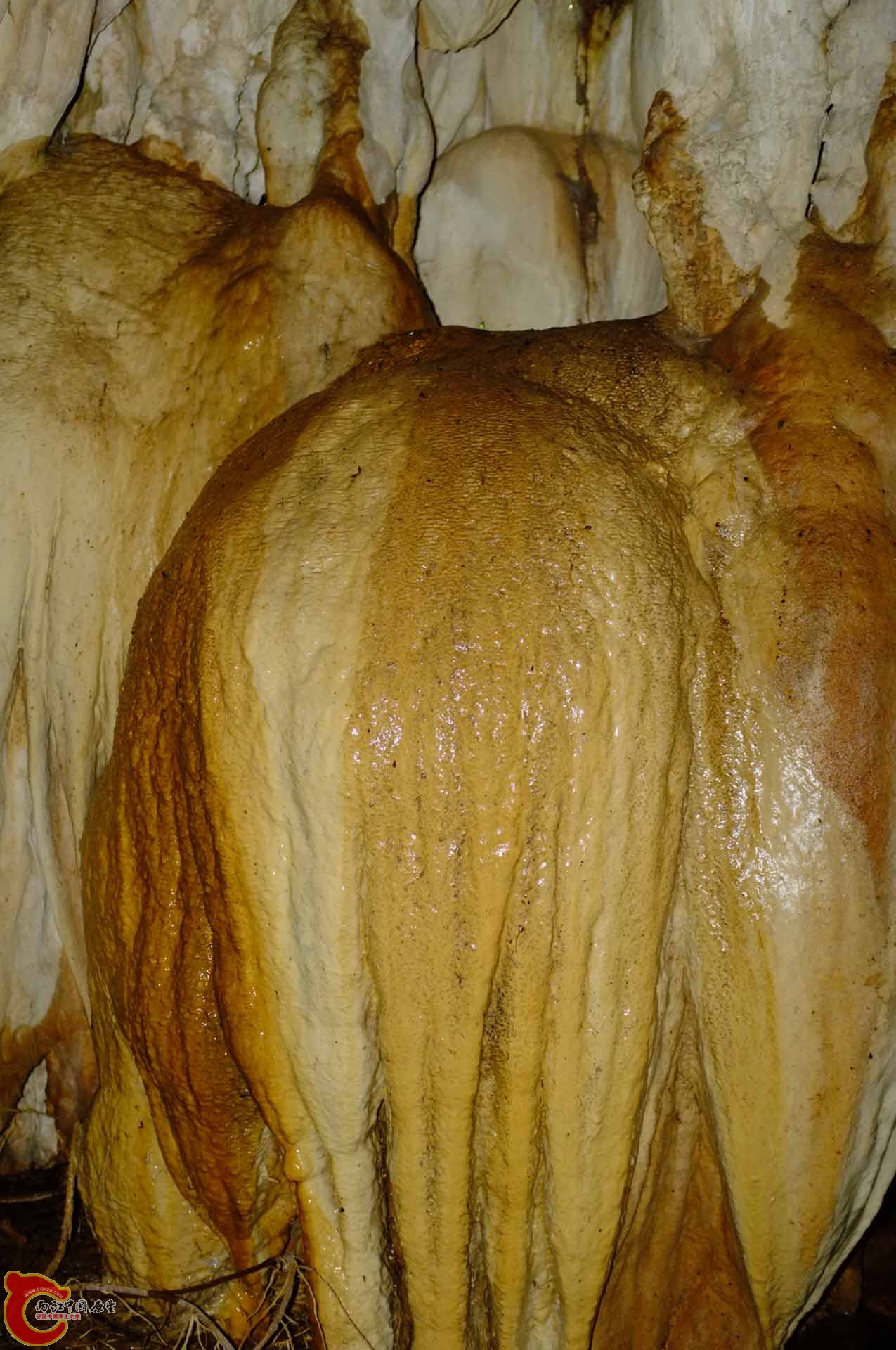 DSCF0365.jpg