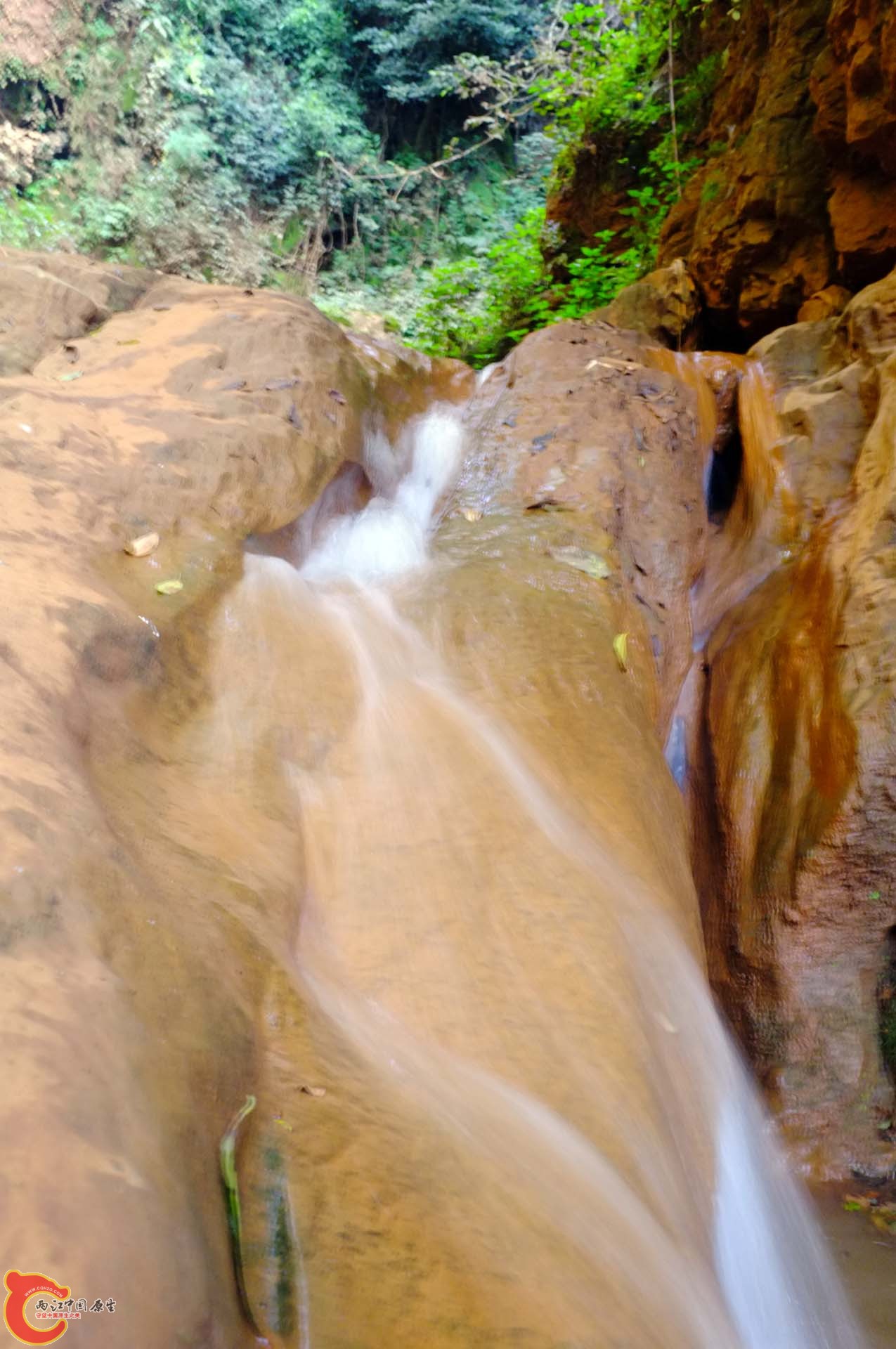 DSCF0378.jpg