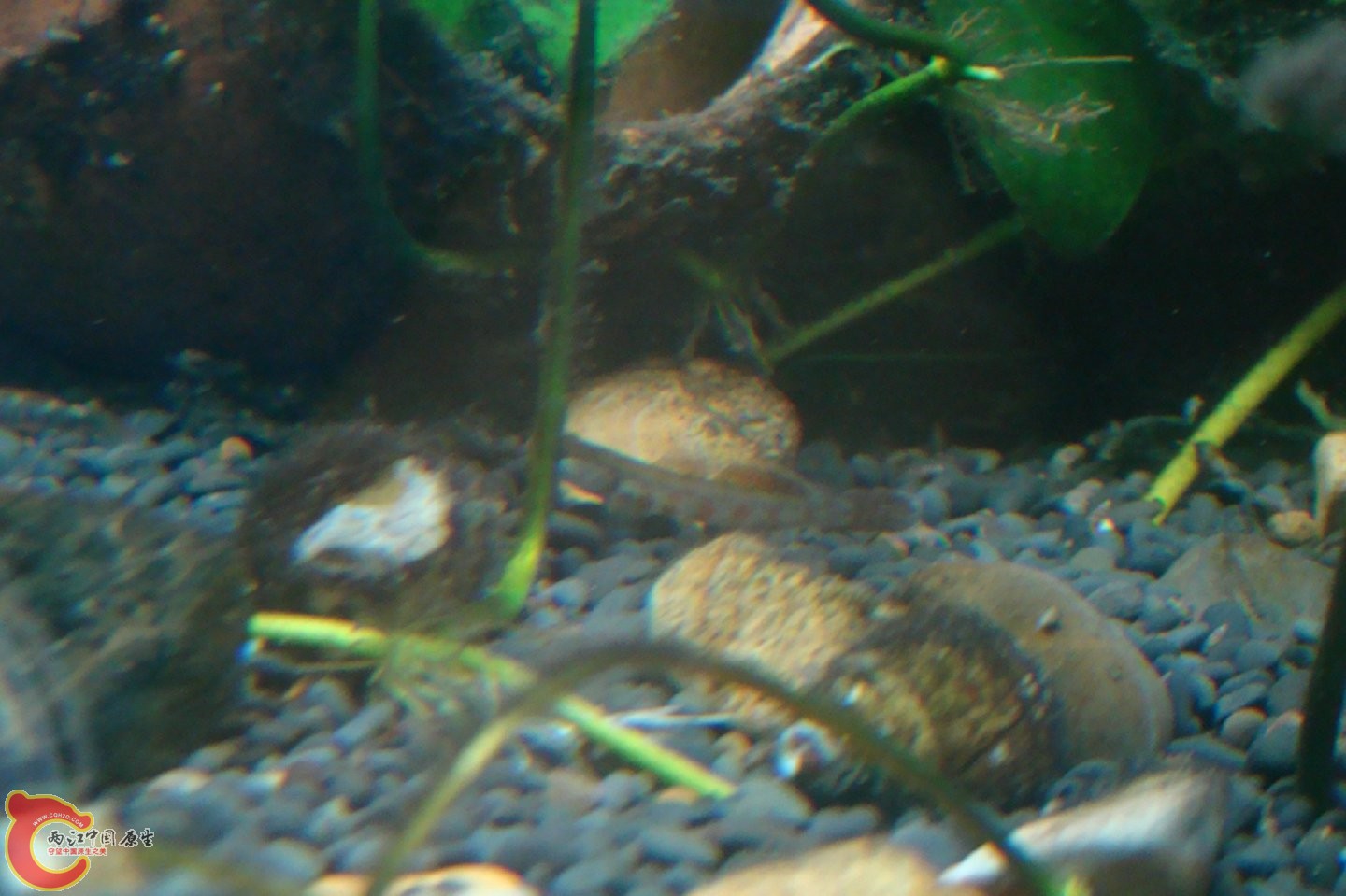 DSC07788.jpg