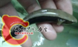 QQ图片20130926165845.jpg