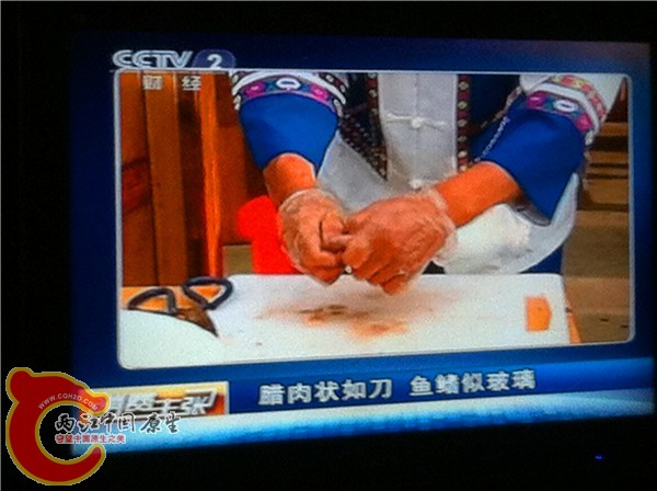 刽子手正在屠宰洞穴鱼
