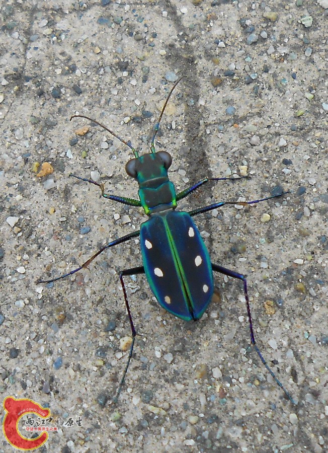 DSCN1387.JPG