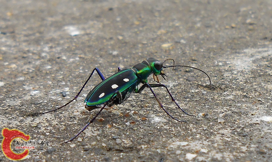 DSCN1393.JPG