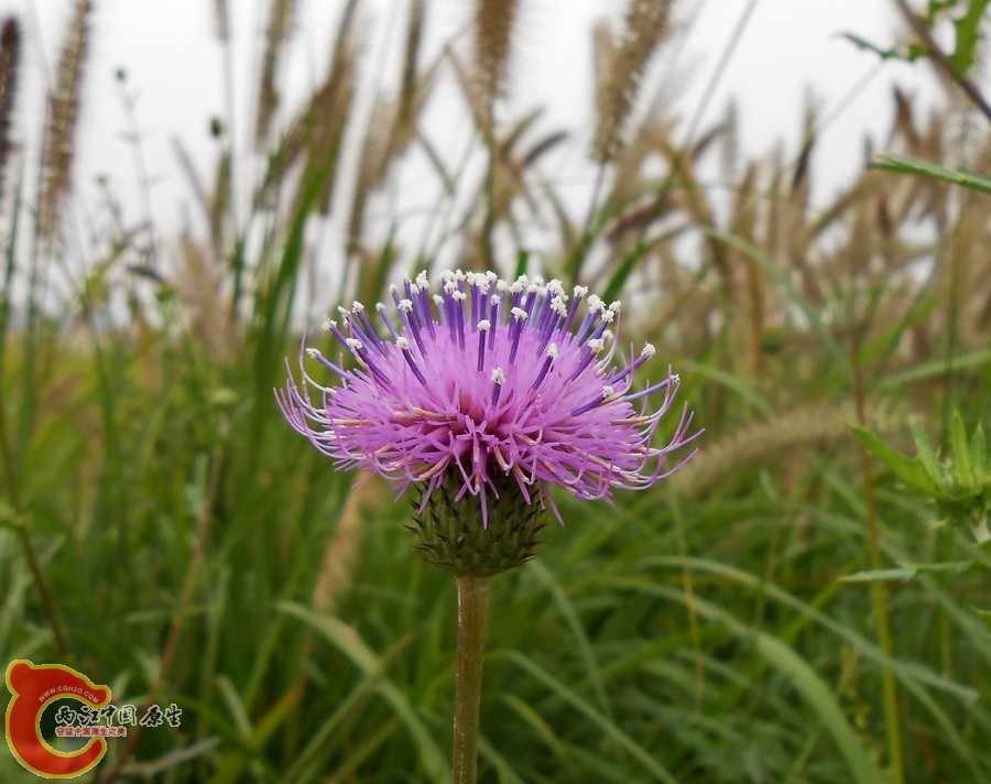 DSCN1406.JPG