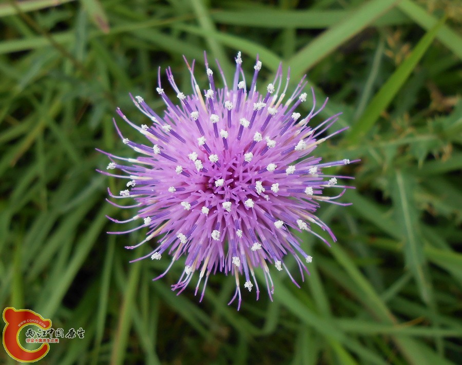 DSCN1407.JPG