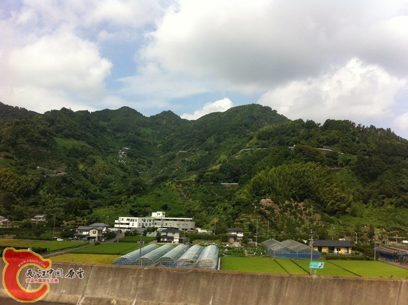 日本的山，全是树，基本没有秃的