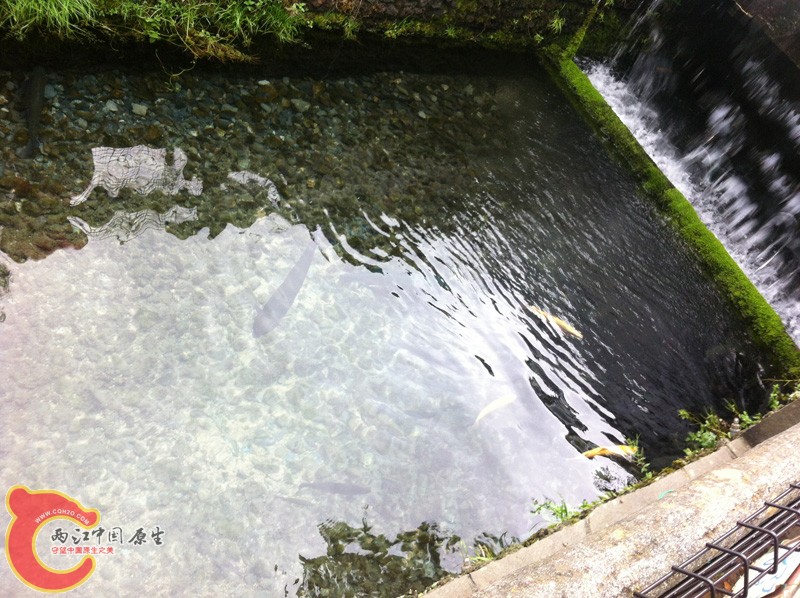 小溪流