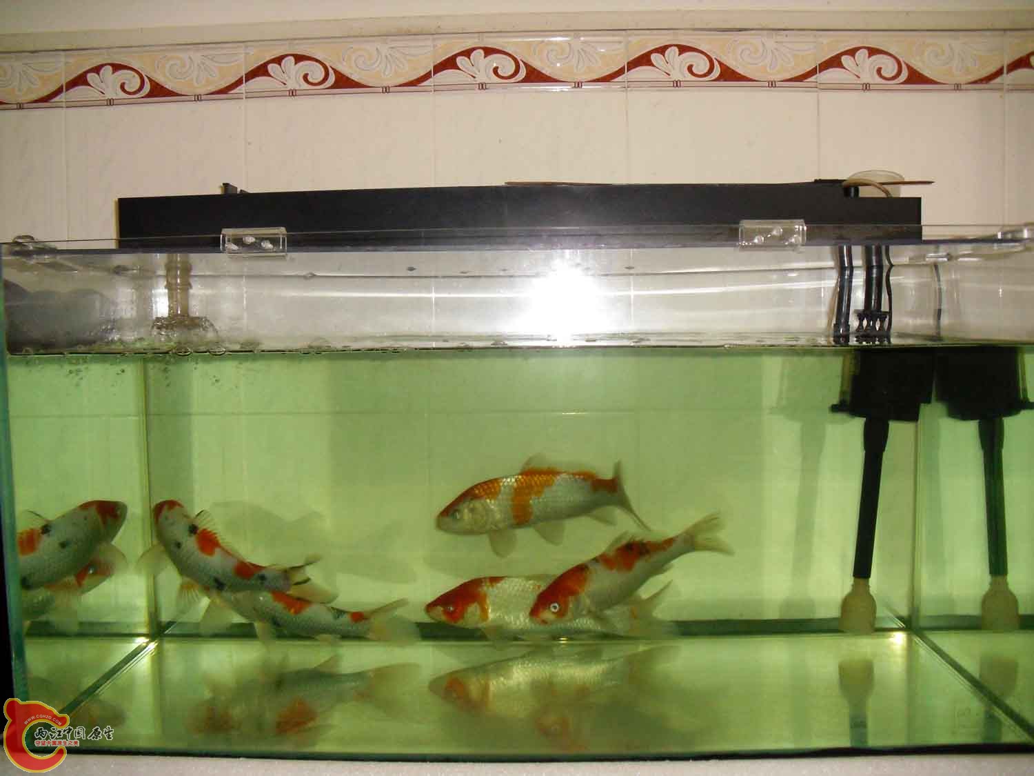 11.JPG