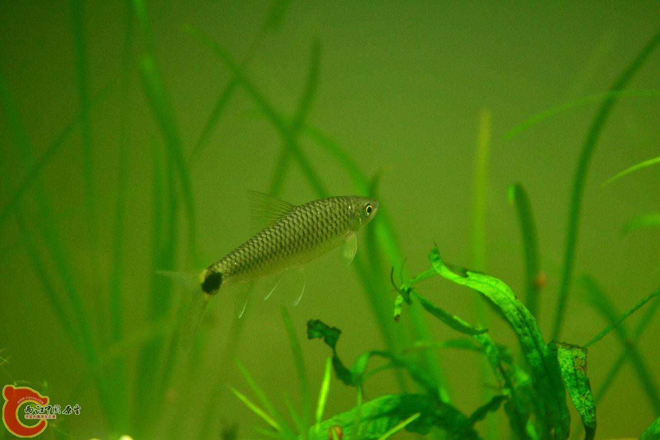 20130929-3709.JPG