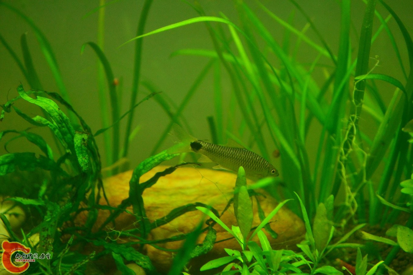 20130929-3711.JPG