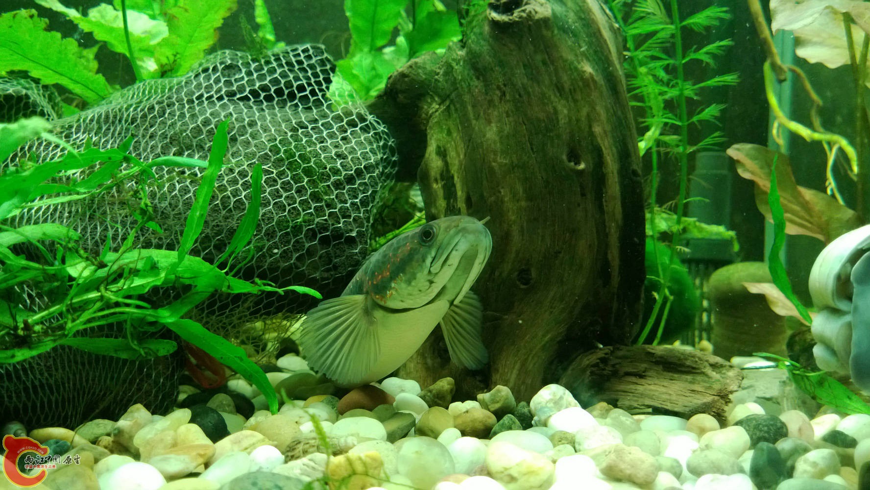 WP_20130707_032.jpg