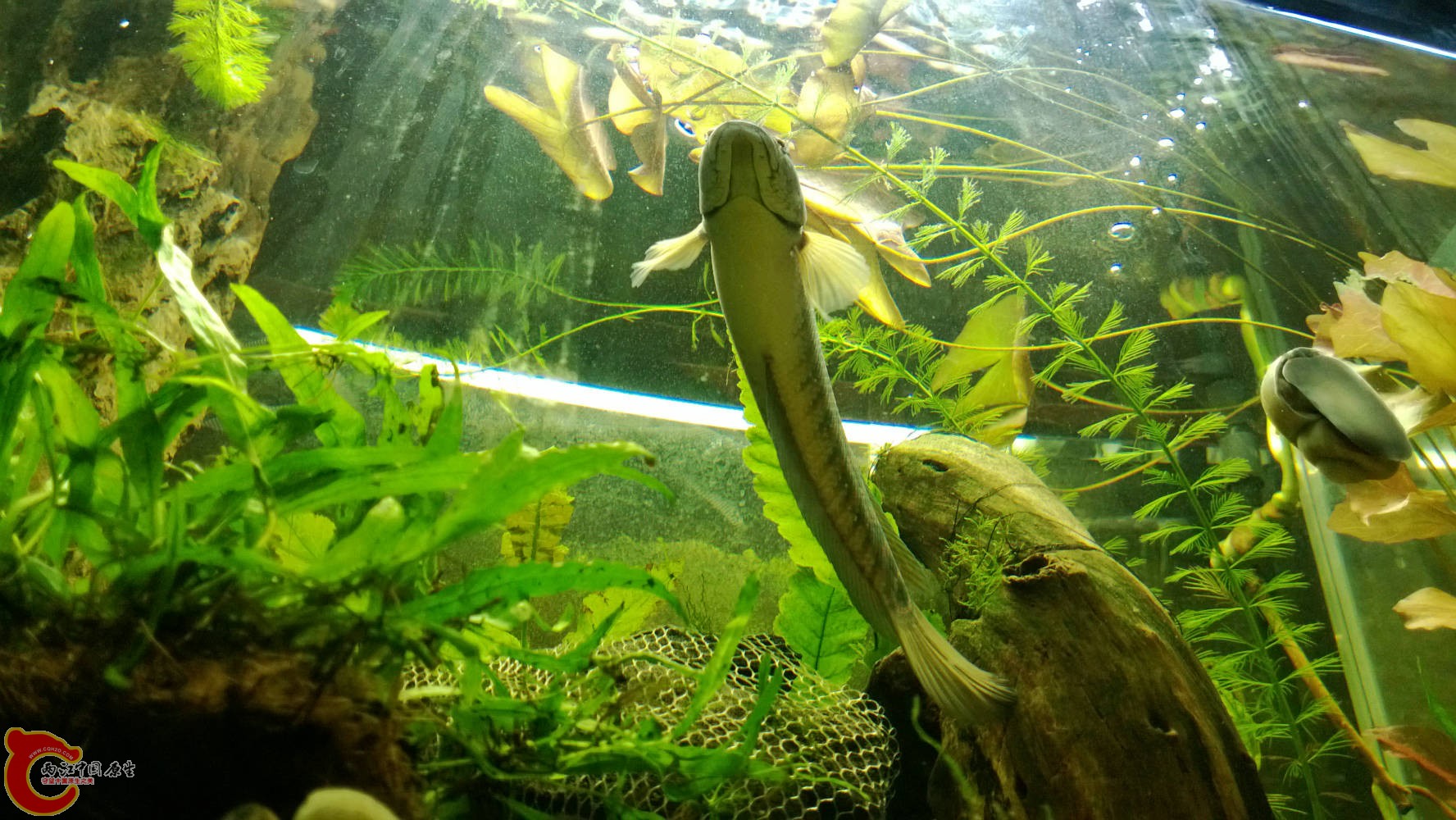 WP_20130707_033.jpg
