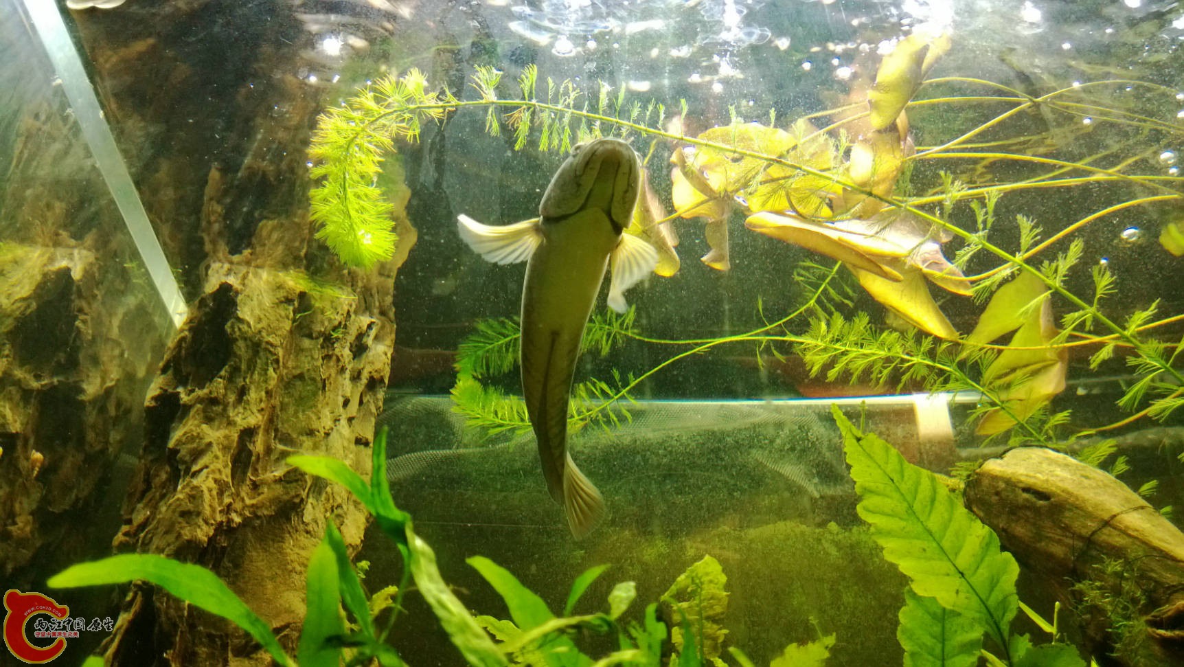 WP_20130707_034.jpg