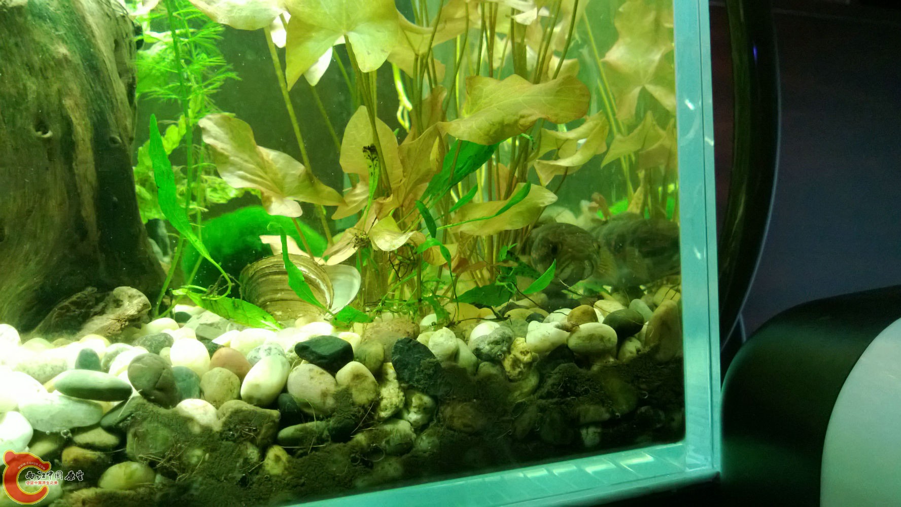 WP_20130707_039.jpg