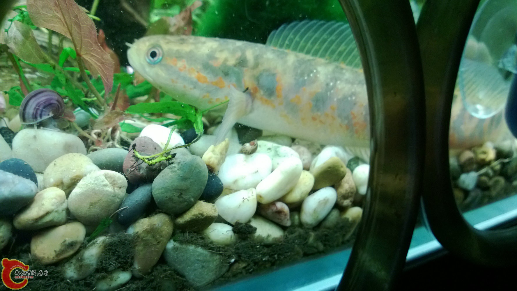 WP_20130822_002.jpg