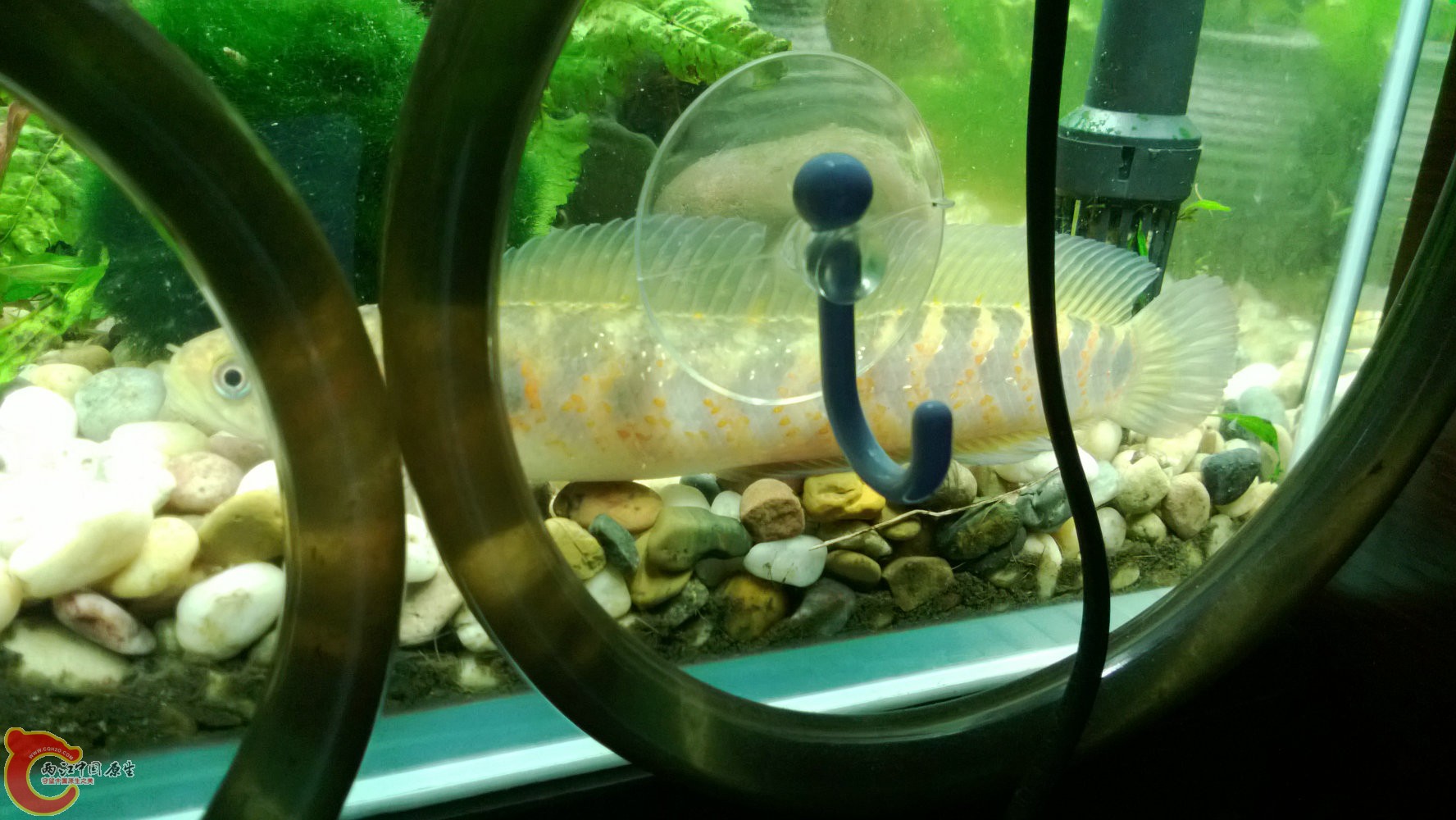WP_20130822_005.jpg