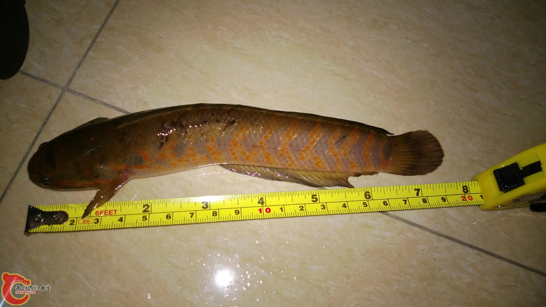 WP_20130822_007.jpg
