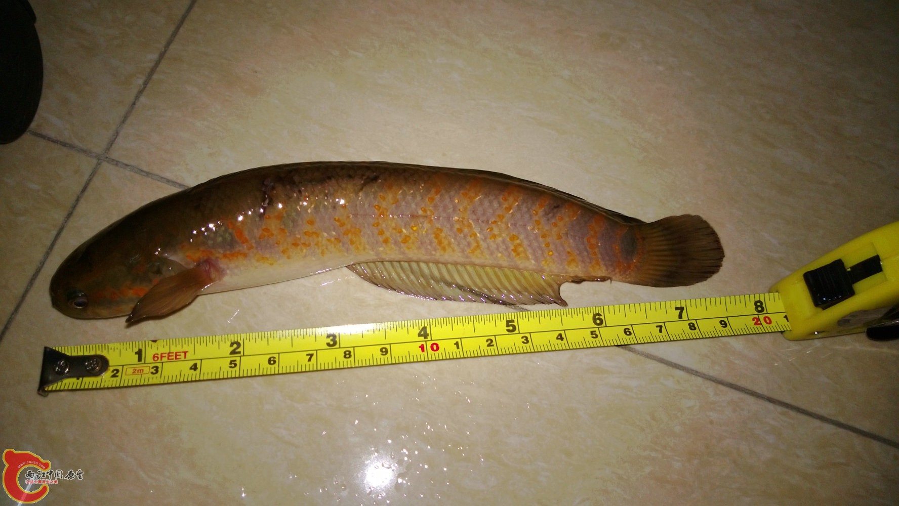 WP_20130822_008.jpg