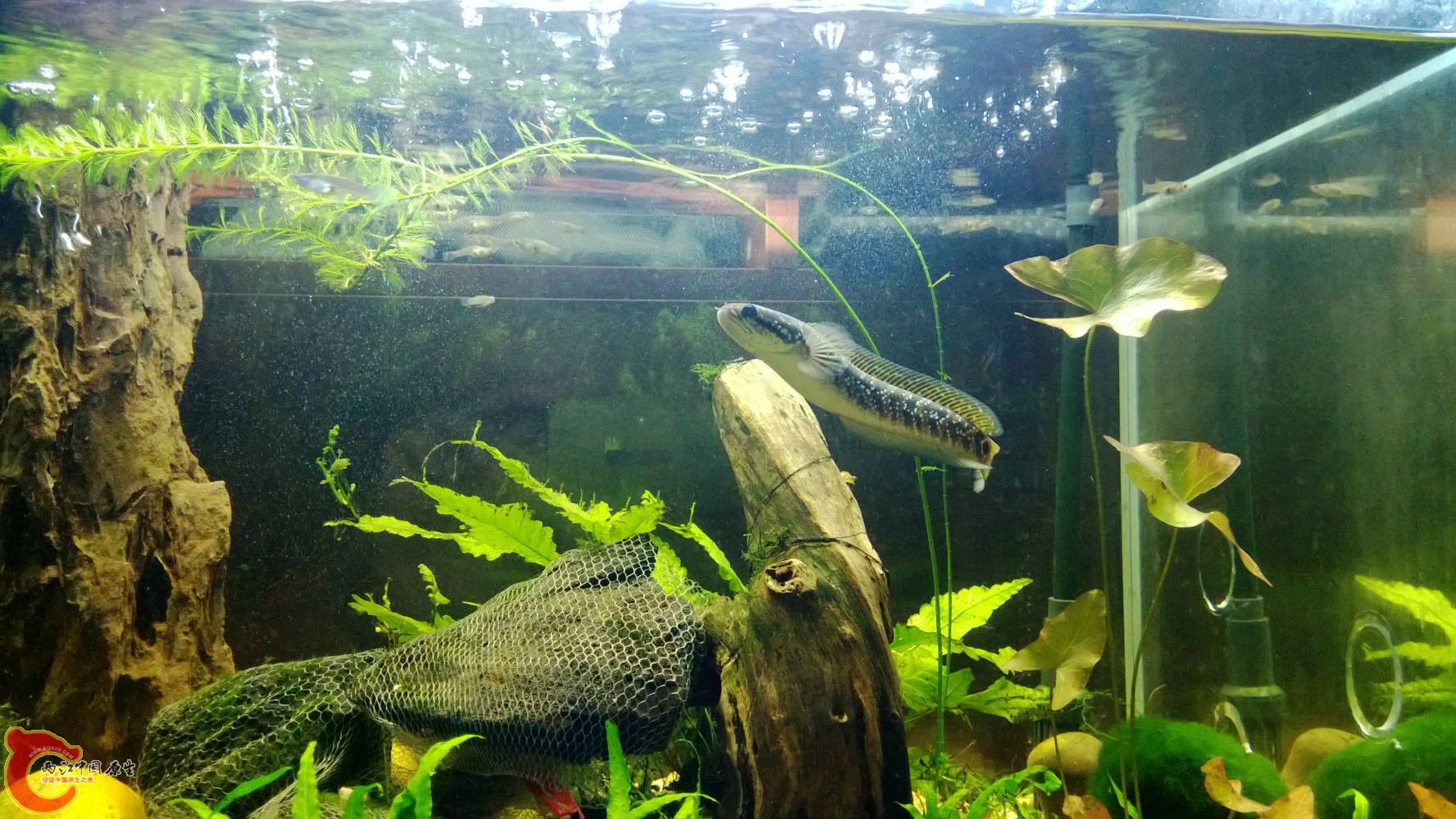 WP_20130824_008.jpg