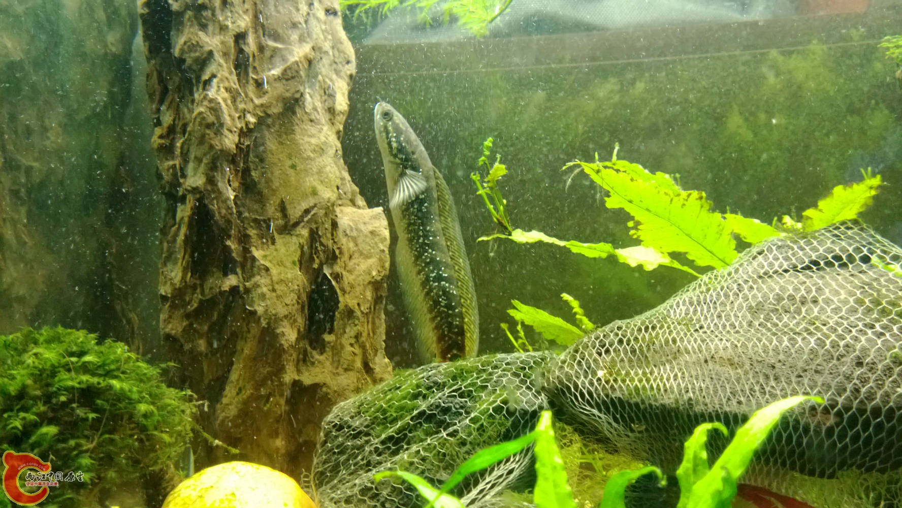 WP_20130824_012.jpg