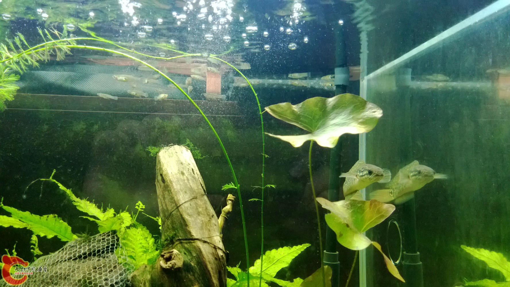 WP_20130824_014.jpg