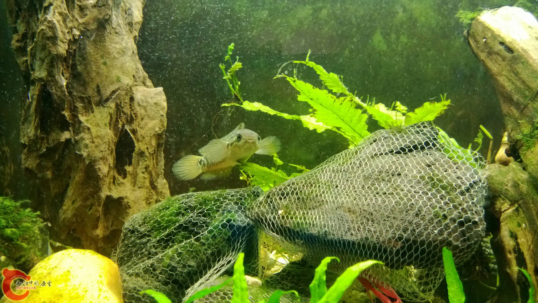 WP_20130824_016.jpg