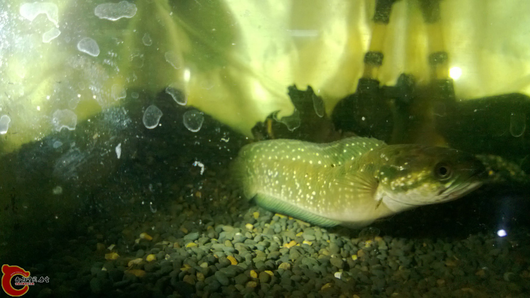 WP_20130830_048.jpg