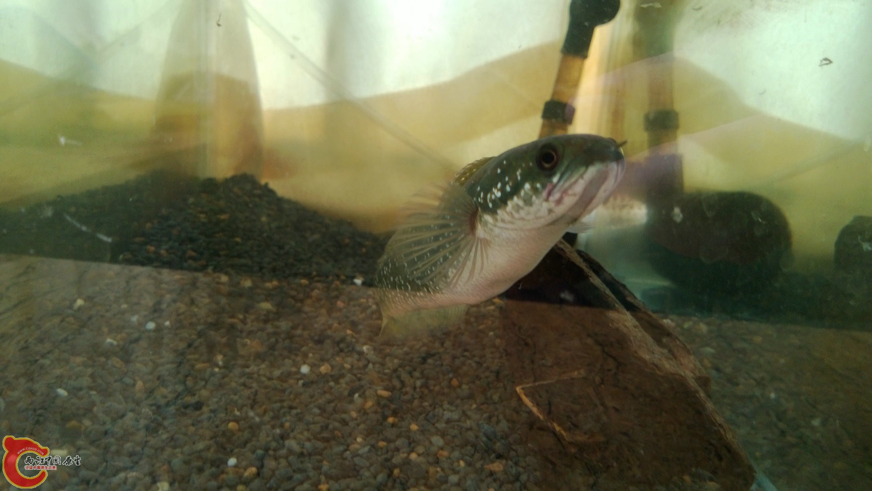 WP_20130831_008.jpg