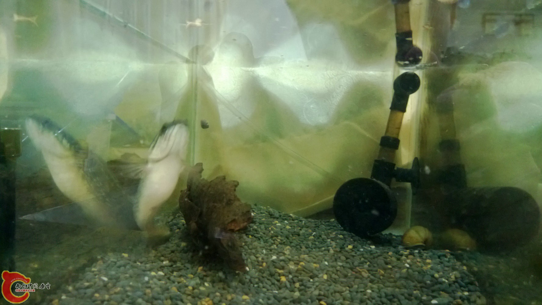 WP_20130903_006.jpg