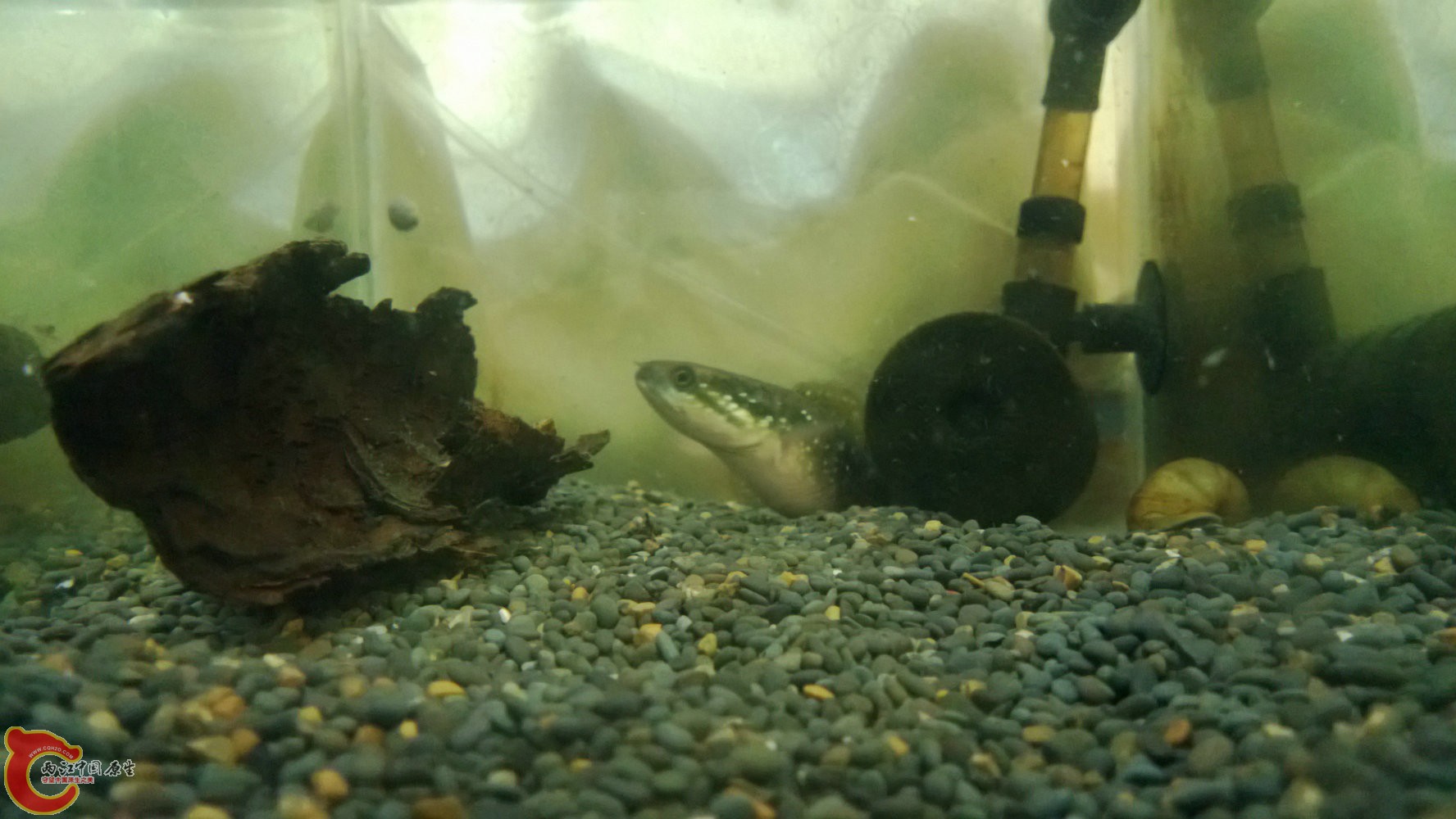 WP_20130903_009.jpg