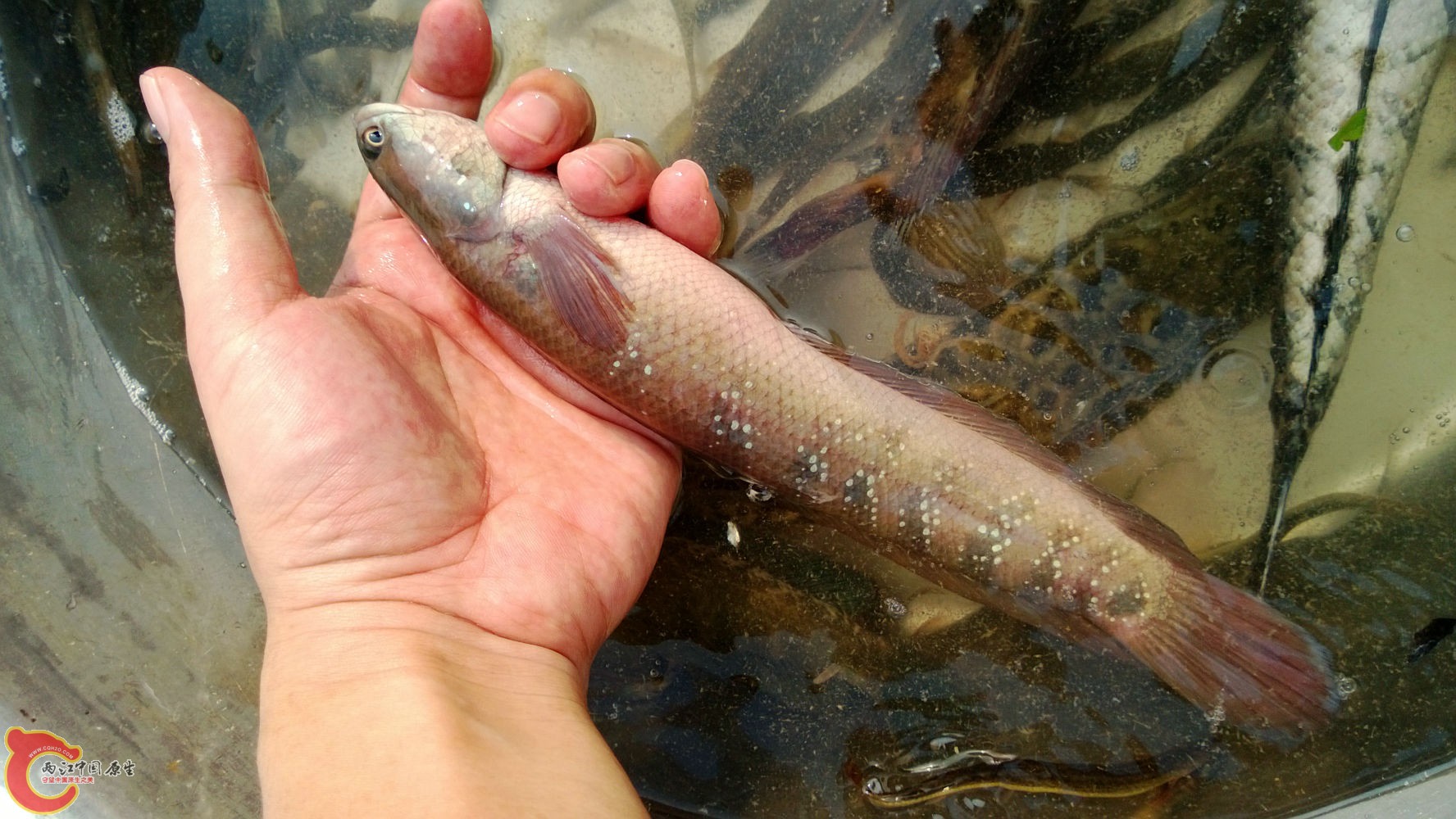 WP_20130907_049.jpg