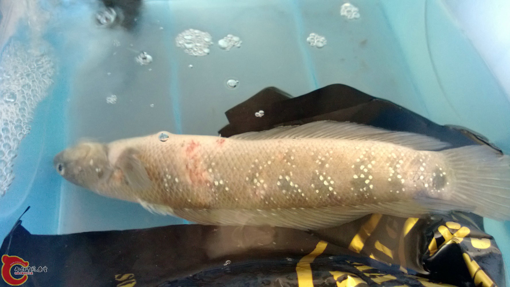WP_20130910_002.jpg