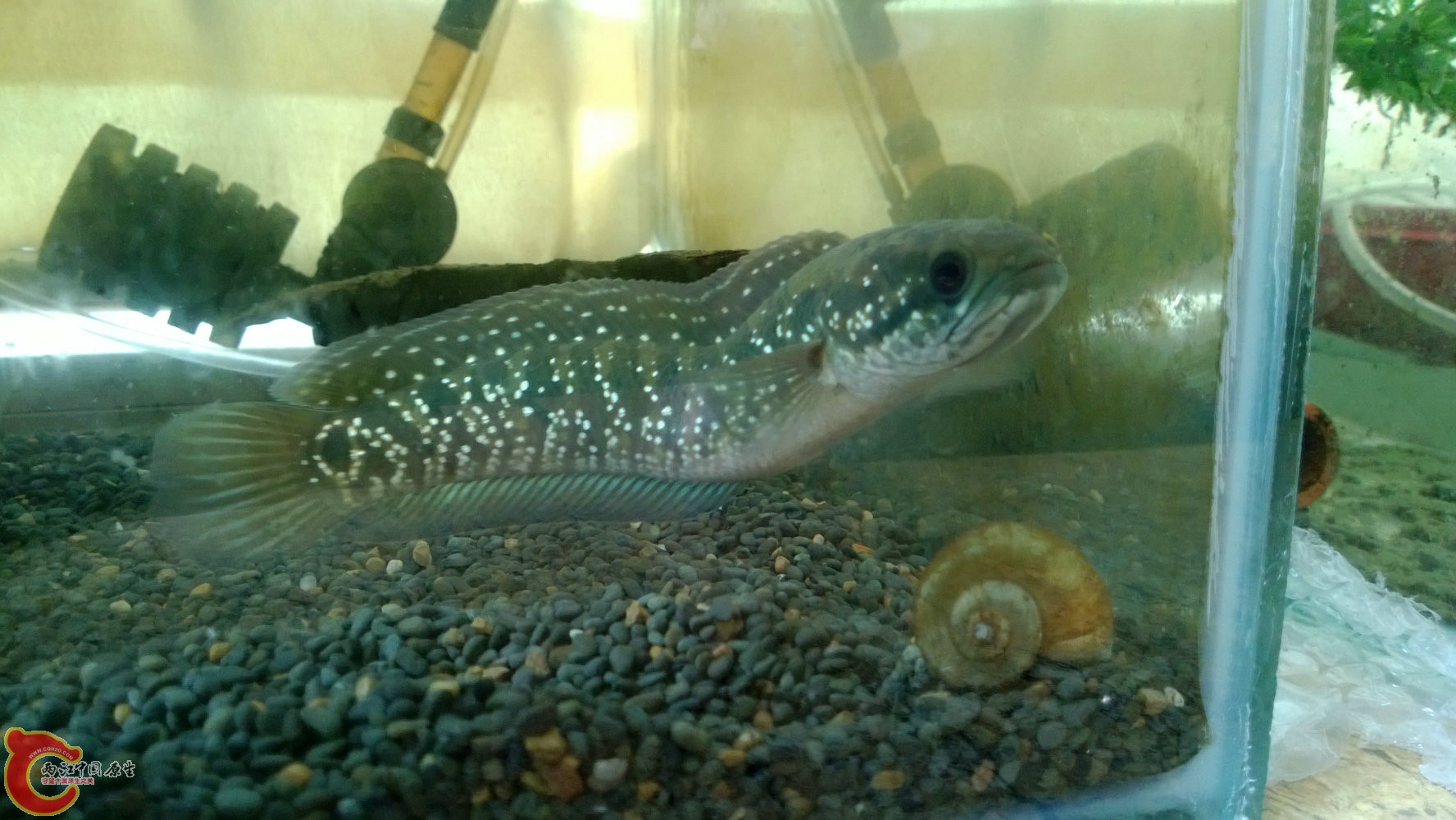WP_20130913_002.jpg