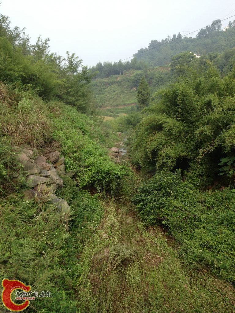 IMG_0258.JPG