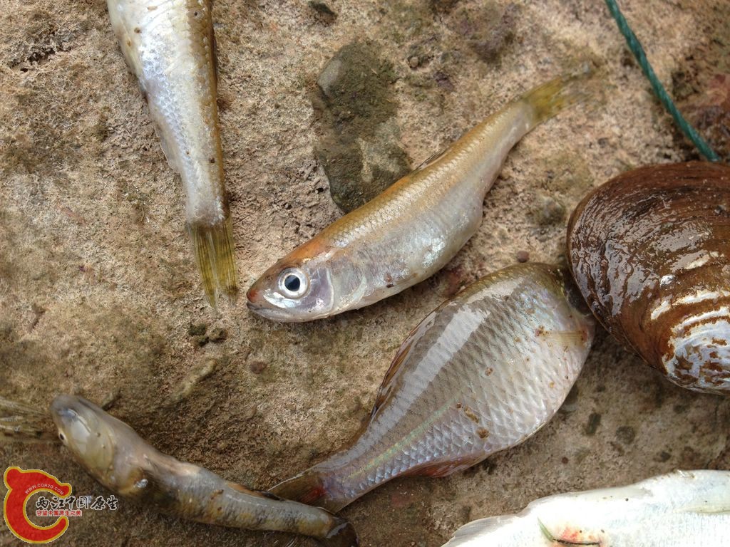 IMG_0354.JPG