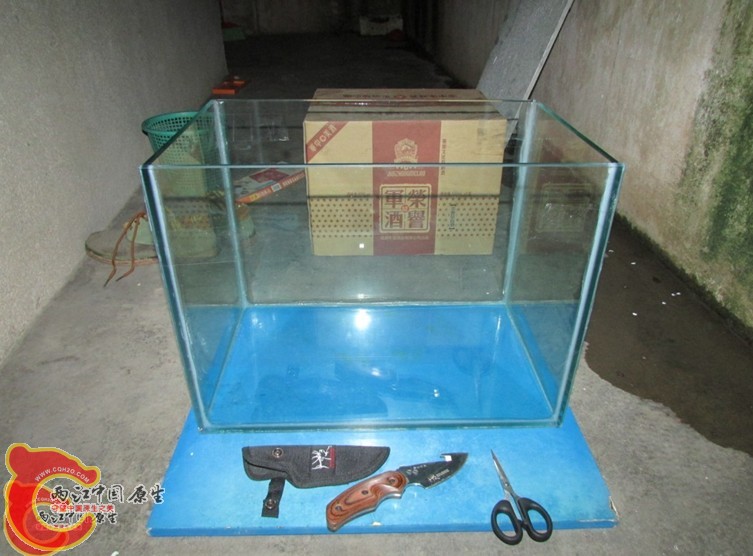 粘缸2.jpg