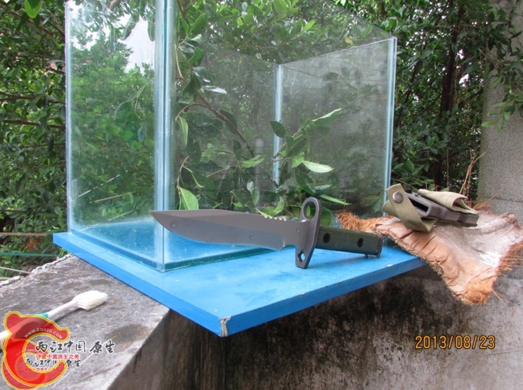 粘缸3.jpg