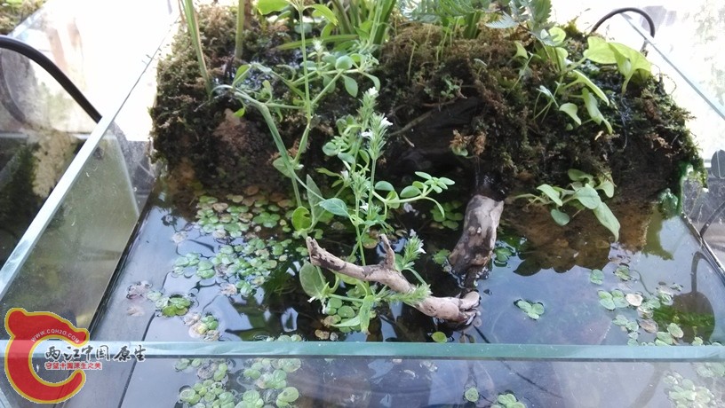 shuimian.jpg shuimian.jpg