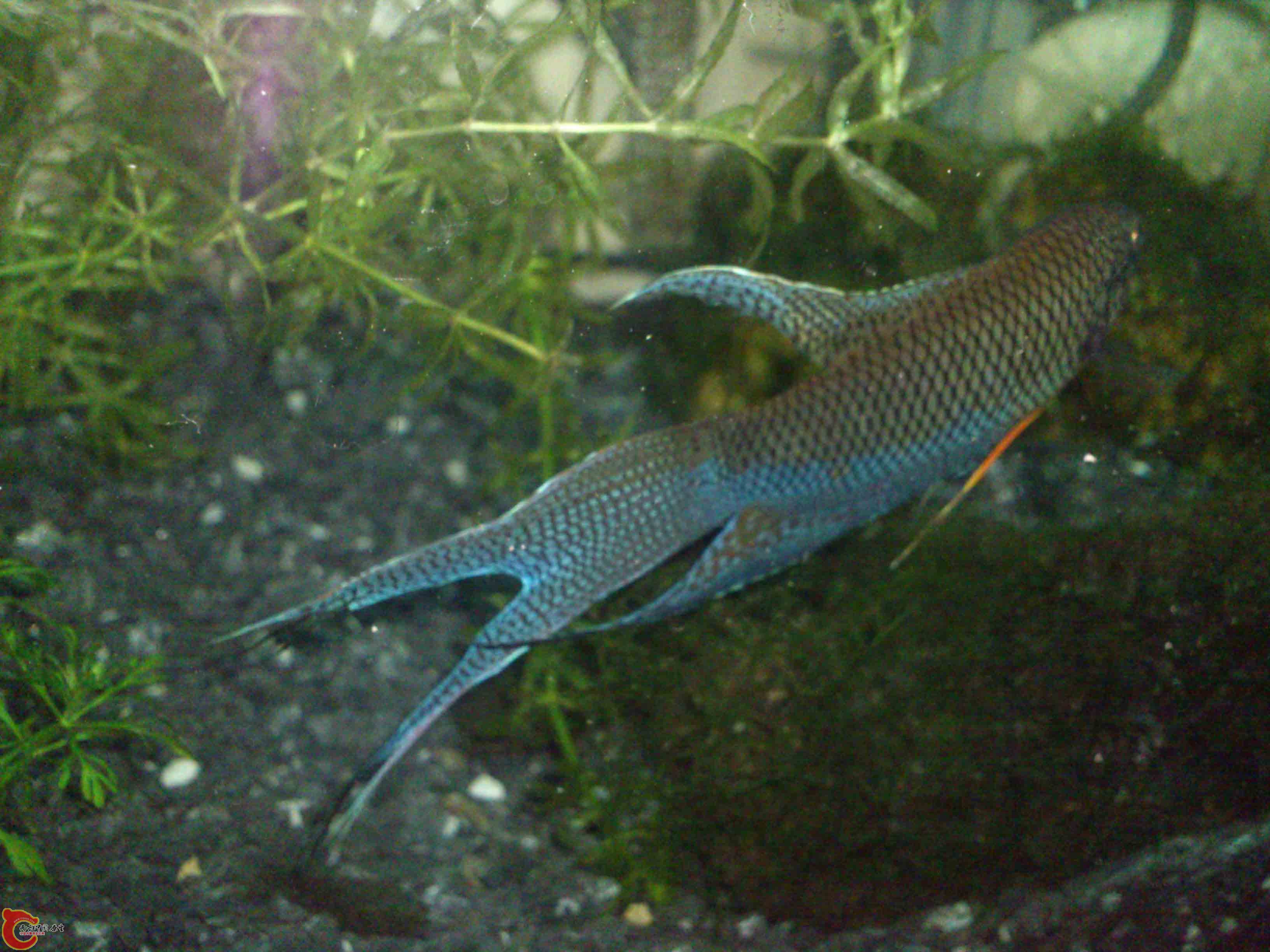 DSC_2564 副本.jpg