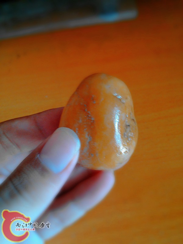 C360_2013-10-02-10-48-13-663_副本.jpg