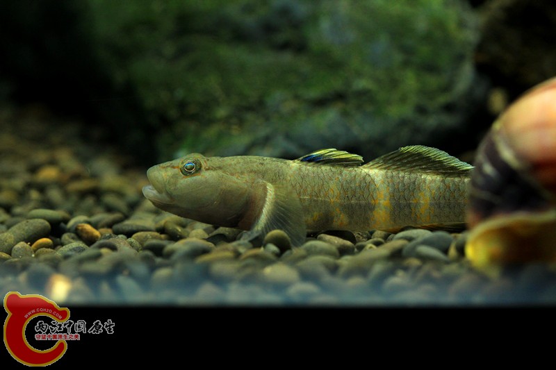 IMG_0629_副本.jpg