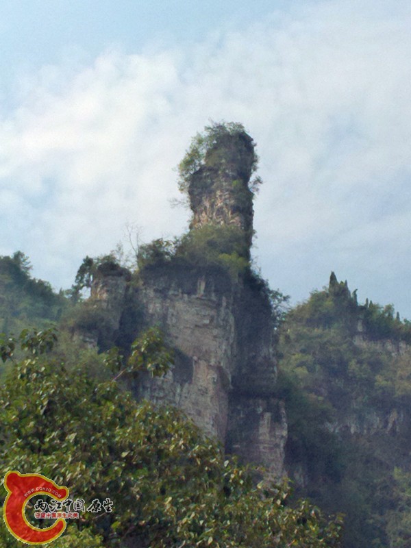 P31001-134731_副本.jpg