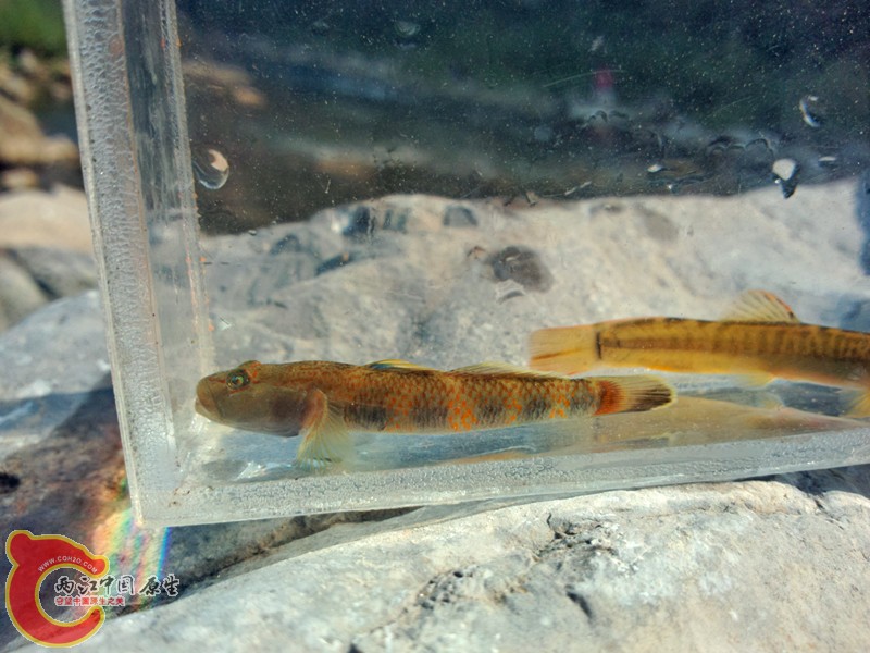 P31001-143611_副本.jpg