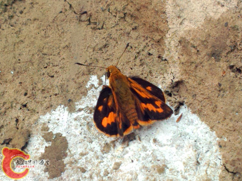 P31002-135943_副本.jpg