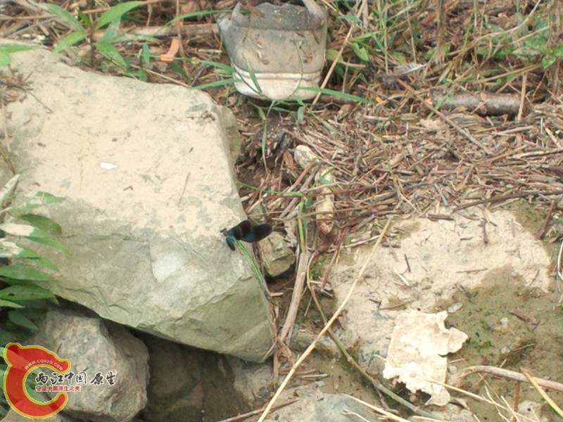 P31002-141005_副本.jpg