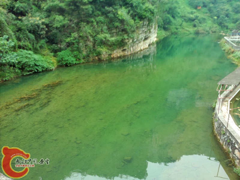 P31002-151332_副本.jpg