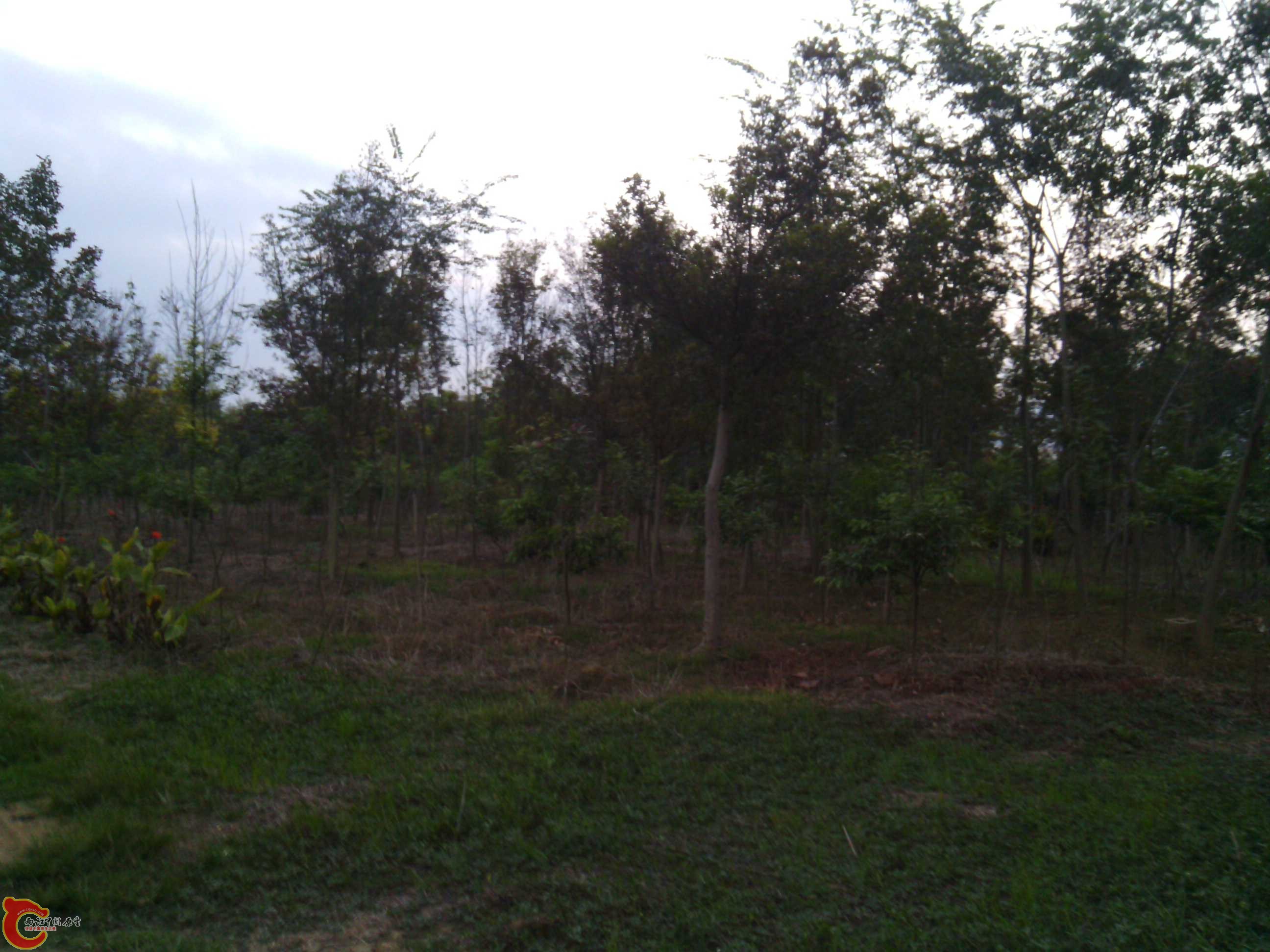 IMG_20131002_185848.jpg