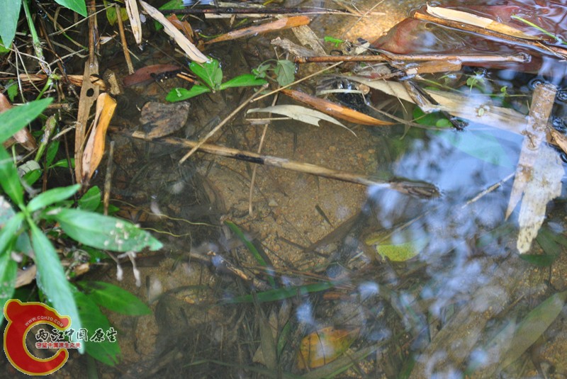 DSC_0160_副本.jpg