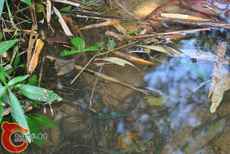 DSC_0161_副本.jpg