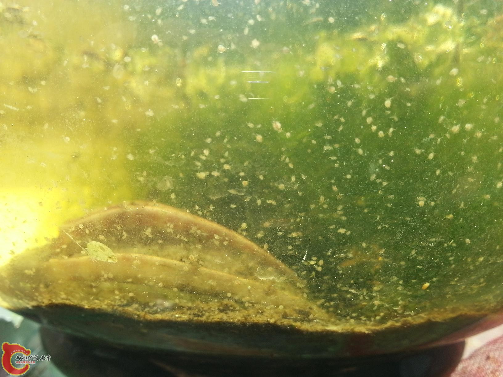 20120208_120419.jpg